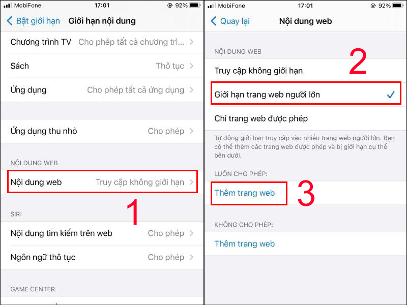 Tick chọn Giới hạn trang web người lớn ở Nội dung web và chọn Thêm trang web